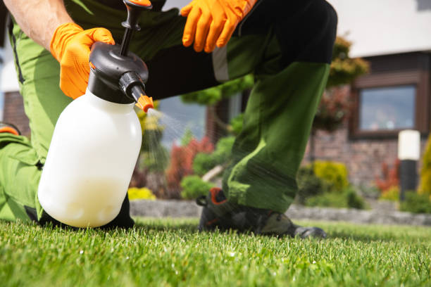 Best Ant Control Services  in Huron, OH