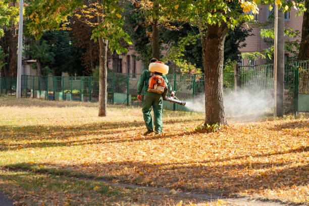 Best Spider Control Near Me  in Huron, OH