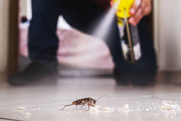 Best Best Pest Control Companies  in Huron, OH