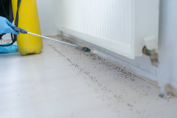 Best Cockroach Control Services  in Huron, OH