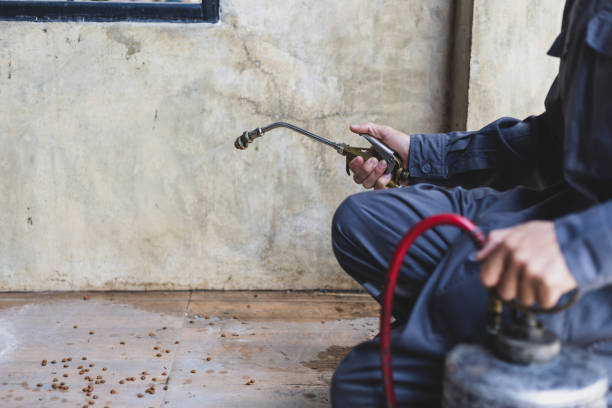 Best Termite Control Services  in Huron, OH